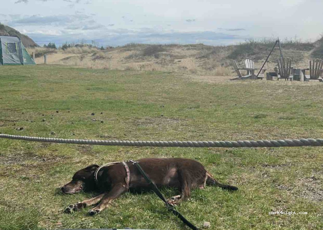 Lomsesanden Opplevelser og camping — foto 5