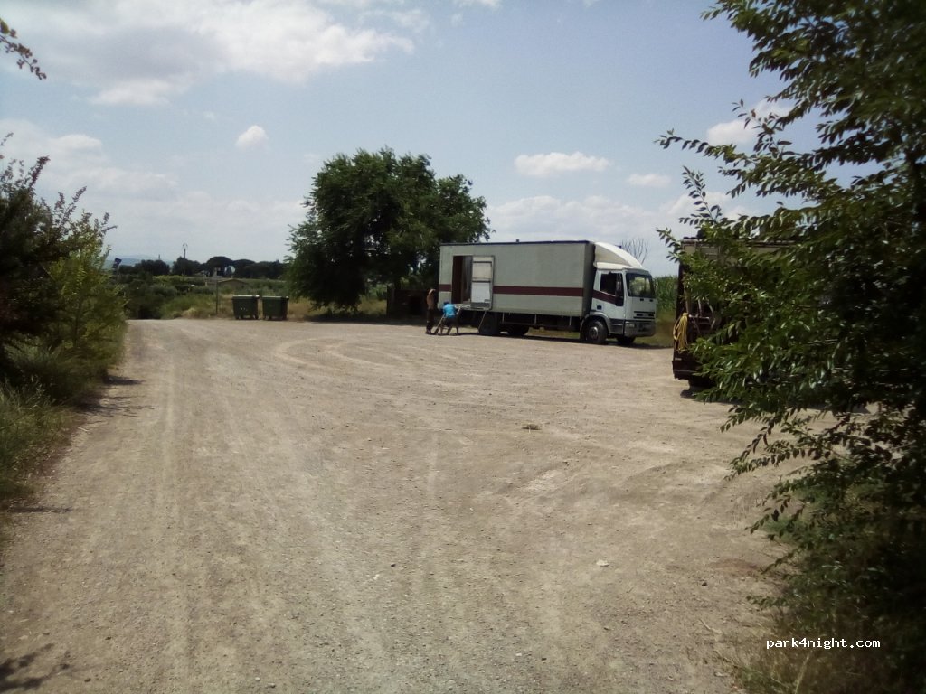 (31591) Corella - NA-6810 — foto