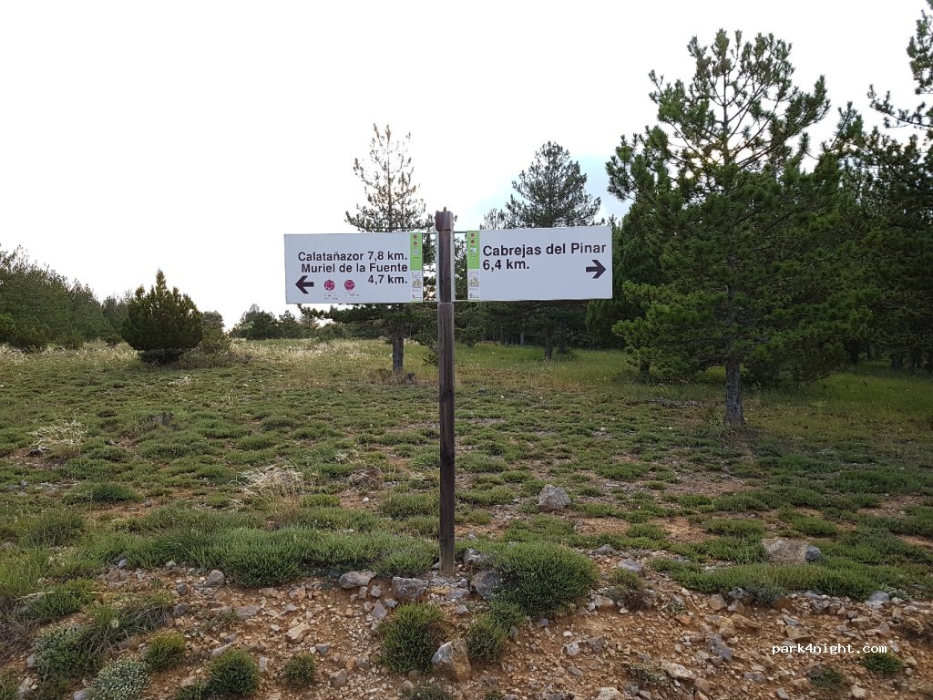 (42146) Cabrejas del Pinar - Carretera Cabrejas a Calatañazor — foto 2