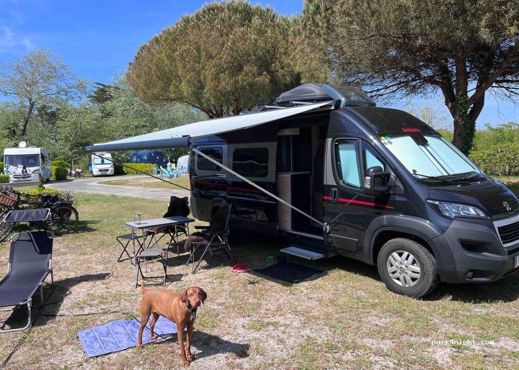 Camping Le Grand Bleu — foto 4