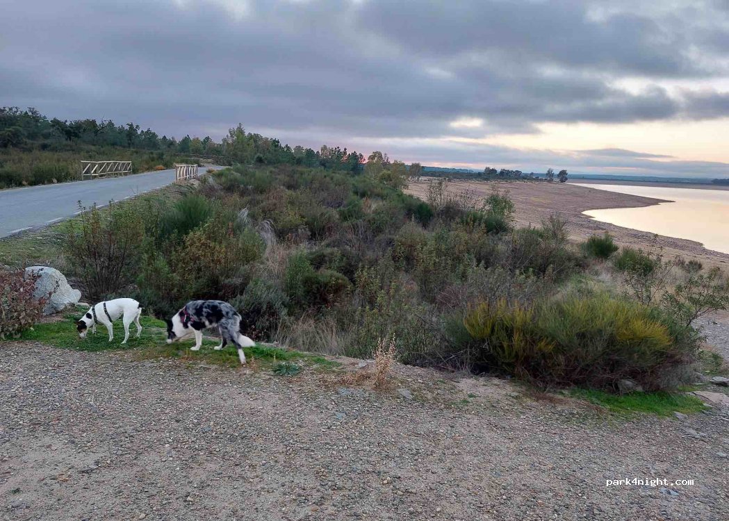 (10712) Guijo de Granadilla - Unnamed Road — foto 3