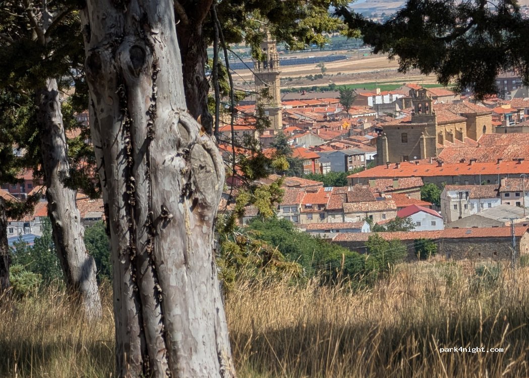 () Santo Domingo de la Calzada - Camino del Alto de Corporales — foto 4
