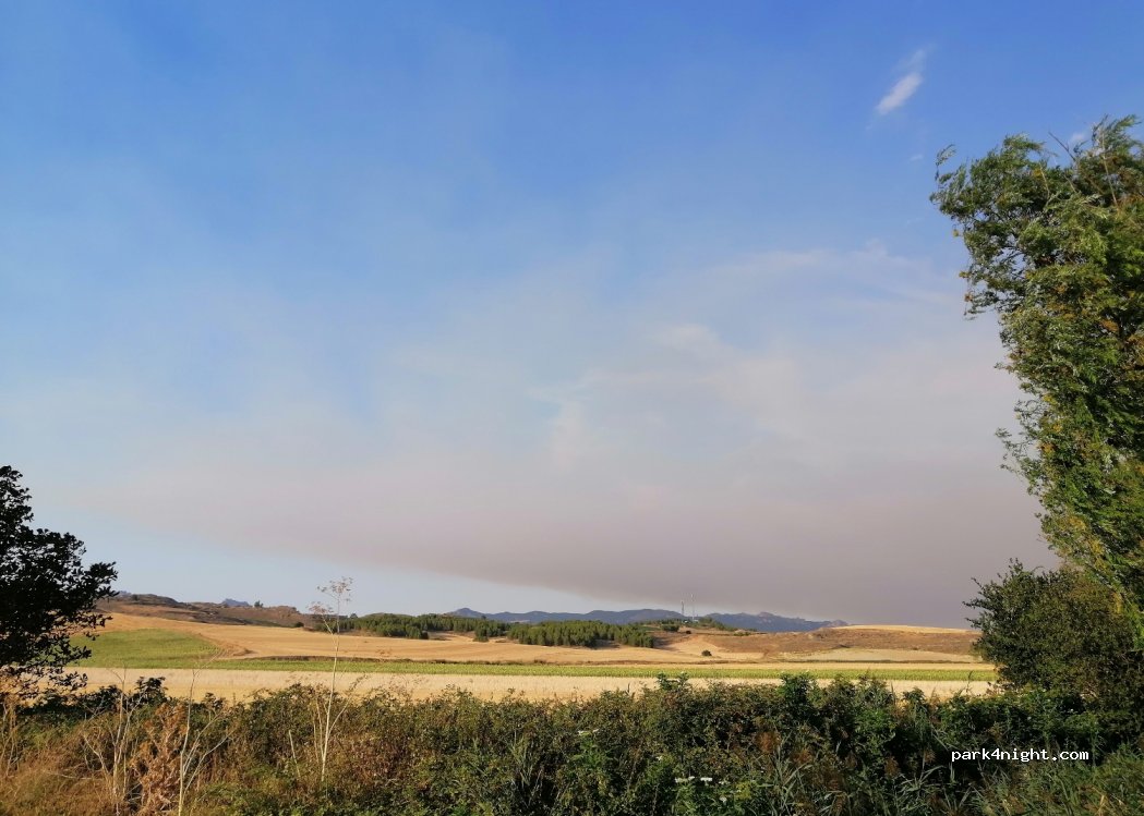 (26215) Treviana - LR-303 — foto 4