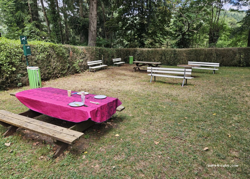 (12230) Saint-Jean-du-Bruel - D999 — foto