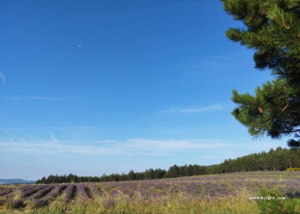(84390) Aurel - Unnamed Road — foto 4