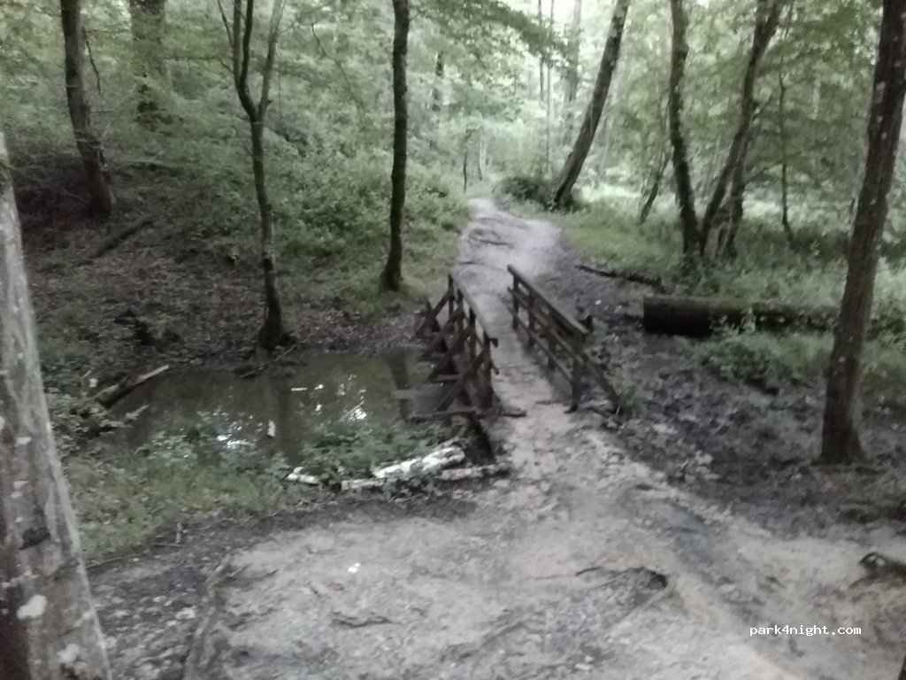 (78720) Cernay-la-Ville - Route de l'Abbaye — foto 2
