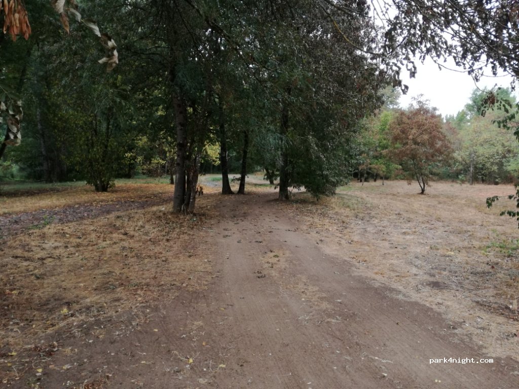 (46110) Bétaille - Borgne de la Saule — foto 2