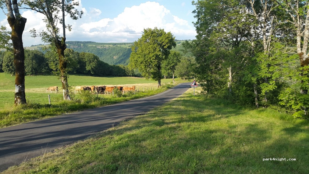 (15230) Saint-Martin-Sous-Vigouroux - D354 — foto 3