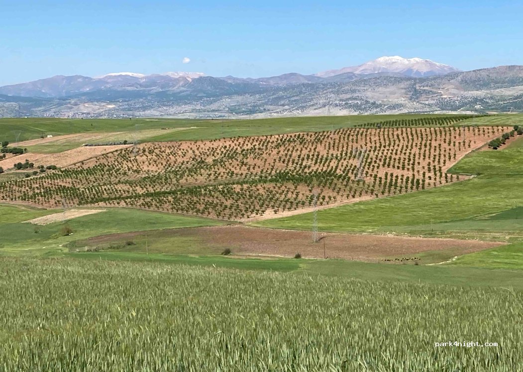 (02400) Çukurtaş - Kahta Sincik Yolu — foto 3