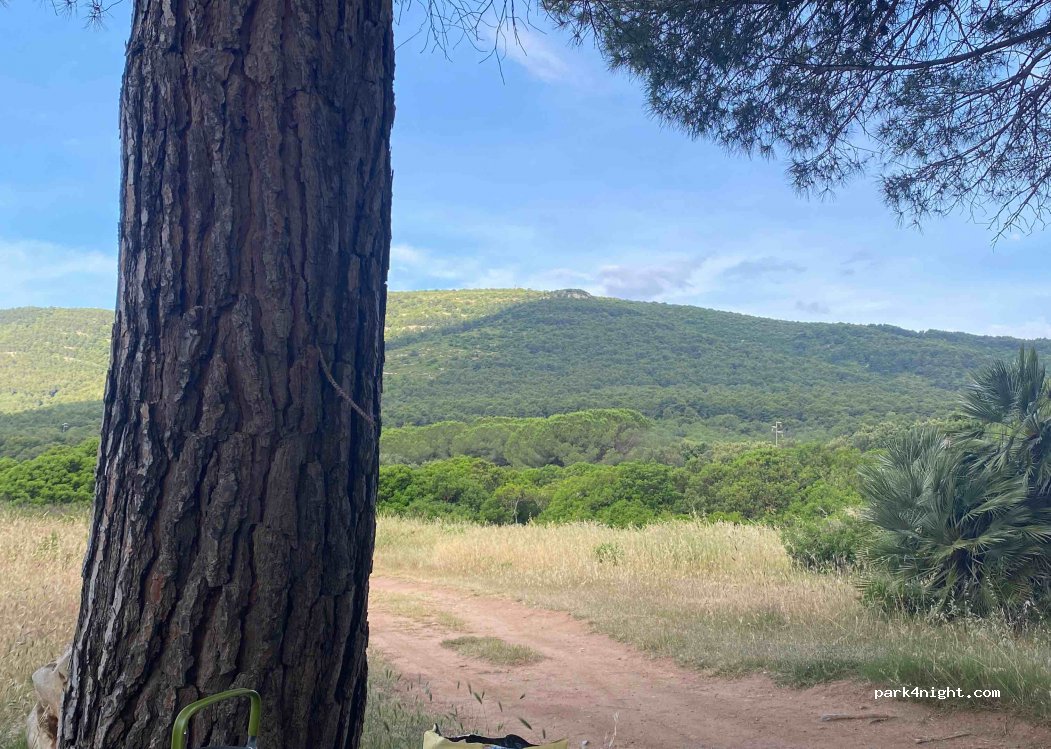 (07041) Alghero - Strada Provinciale 55 — foto 2