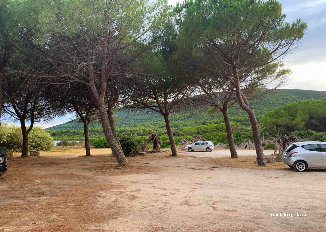 (07041) Alghero - Strada Provinciale 55 — foto 3