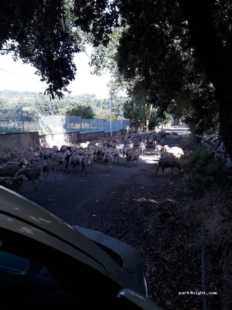 (09075) Santu Lussurgiu - 3 Via dei Pisani — foto 2