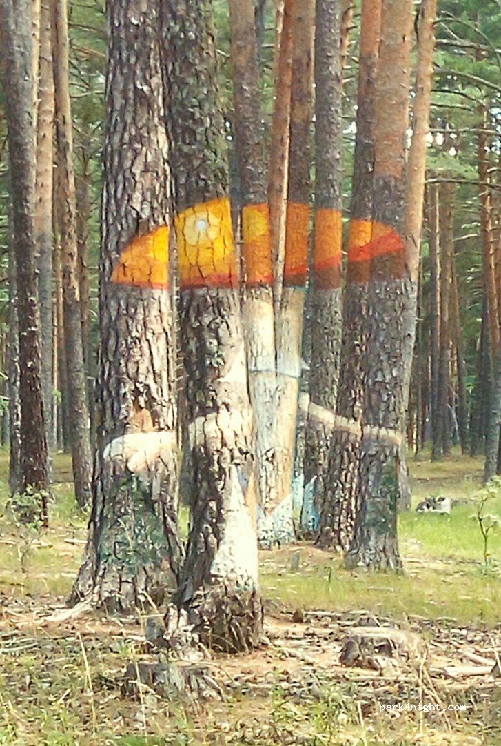 (42005) Soria - Unnamed Road — foto 2