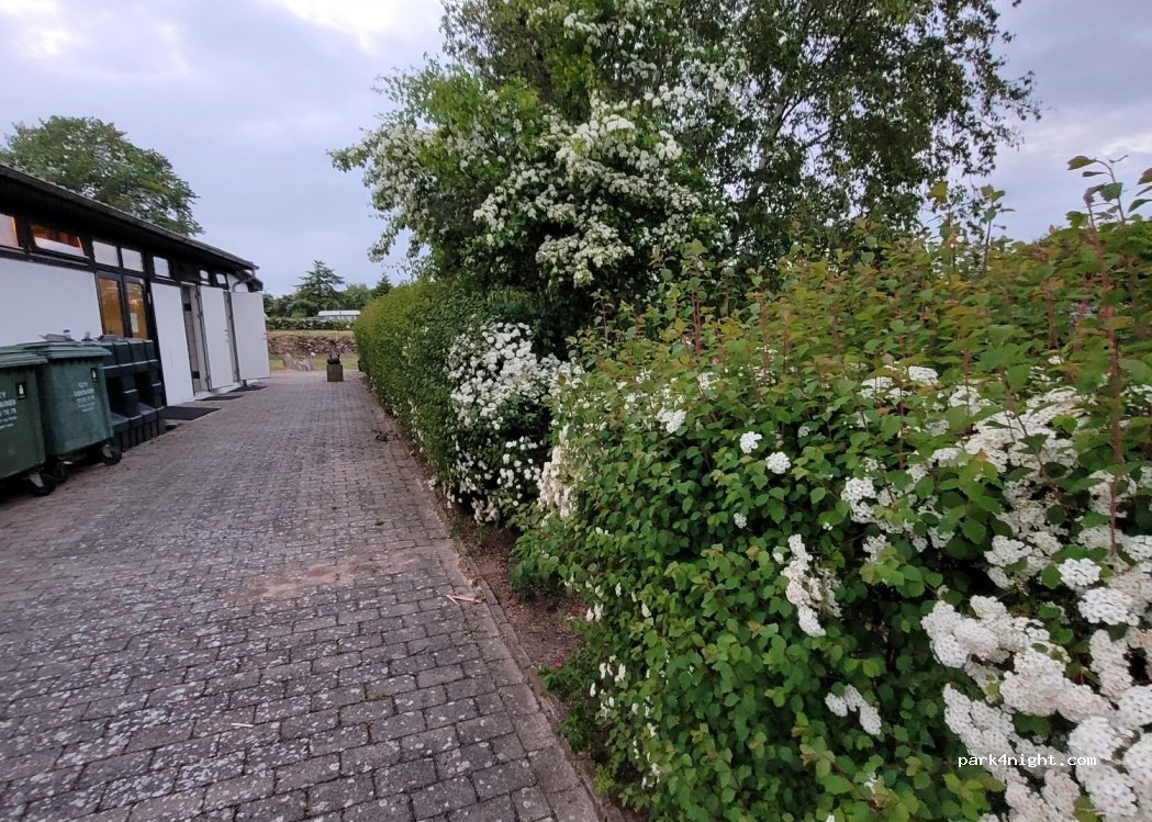 Helnæs Camping — foto 3