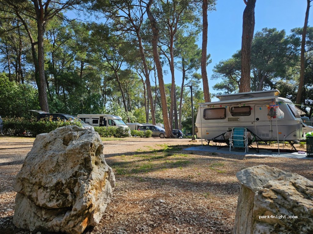 Camp Dvor — foto