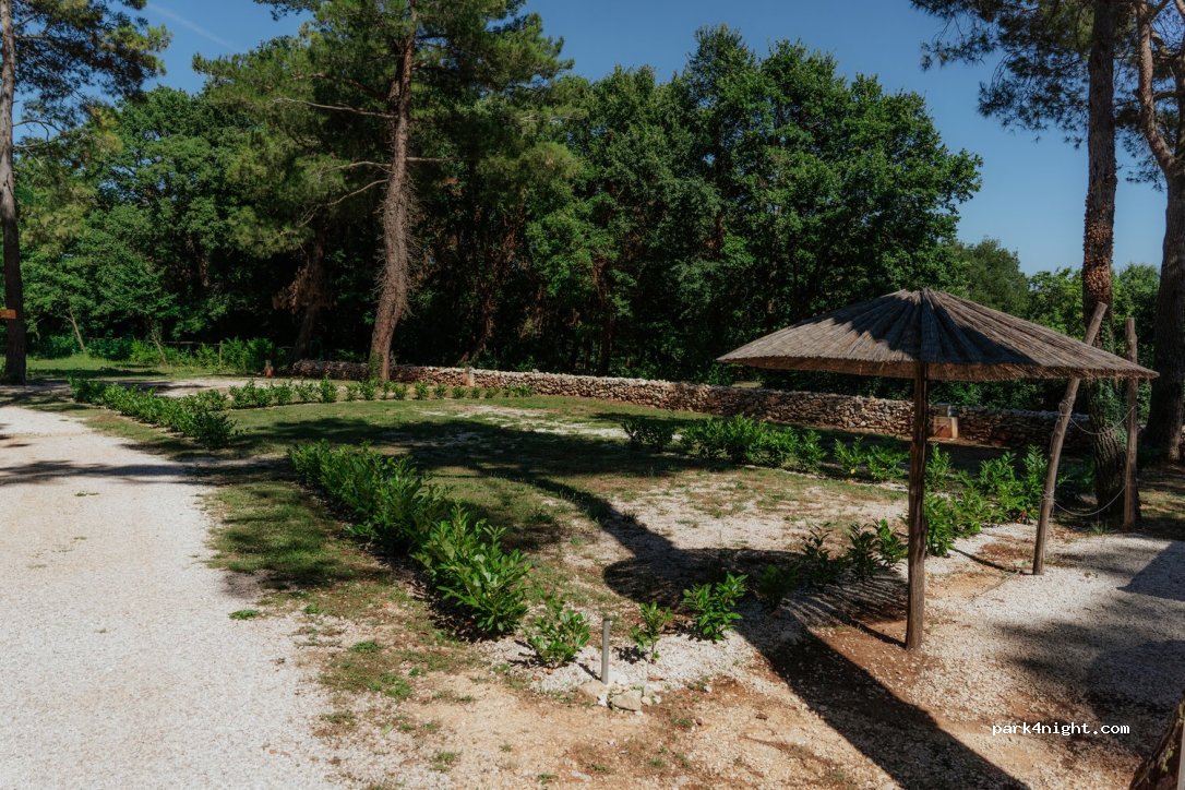 Camp Dvor — foto 5