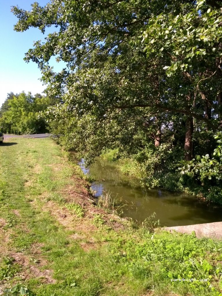 (62-035) Błażejewo - 9A Zaniemyska — foto 2