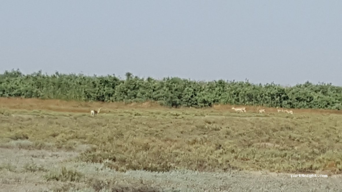 () Yenikənd - Alat-Astara-Iran Highway — foto 3