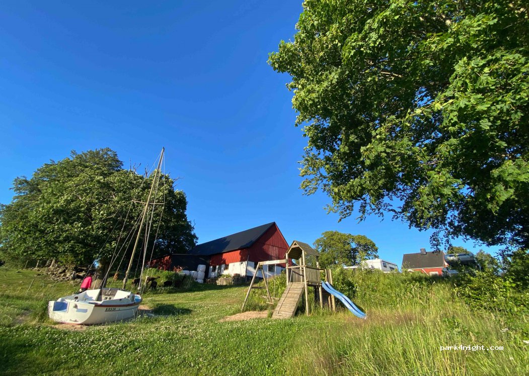 Alpaca farm in Kråkshult — foto