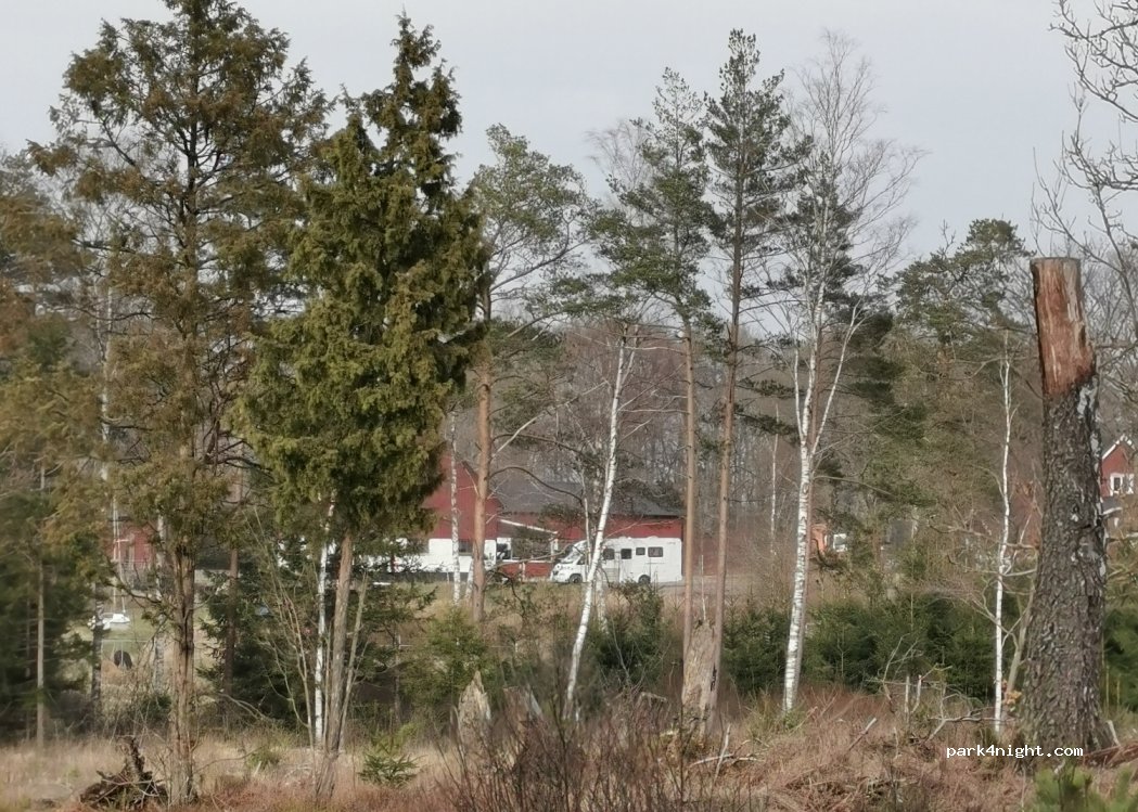 Alpaca farm in Kråkshult — foto 2