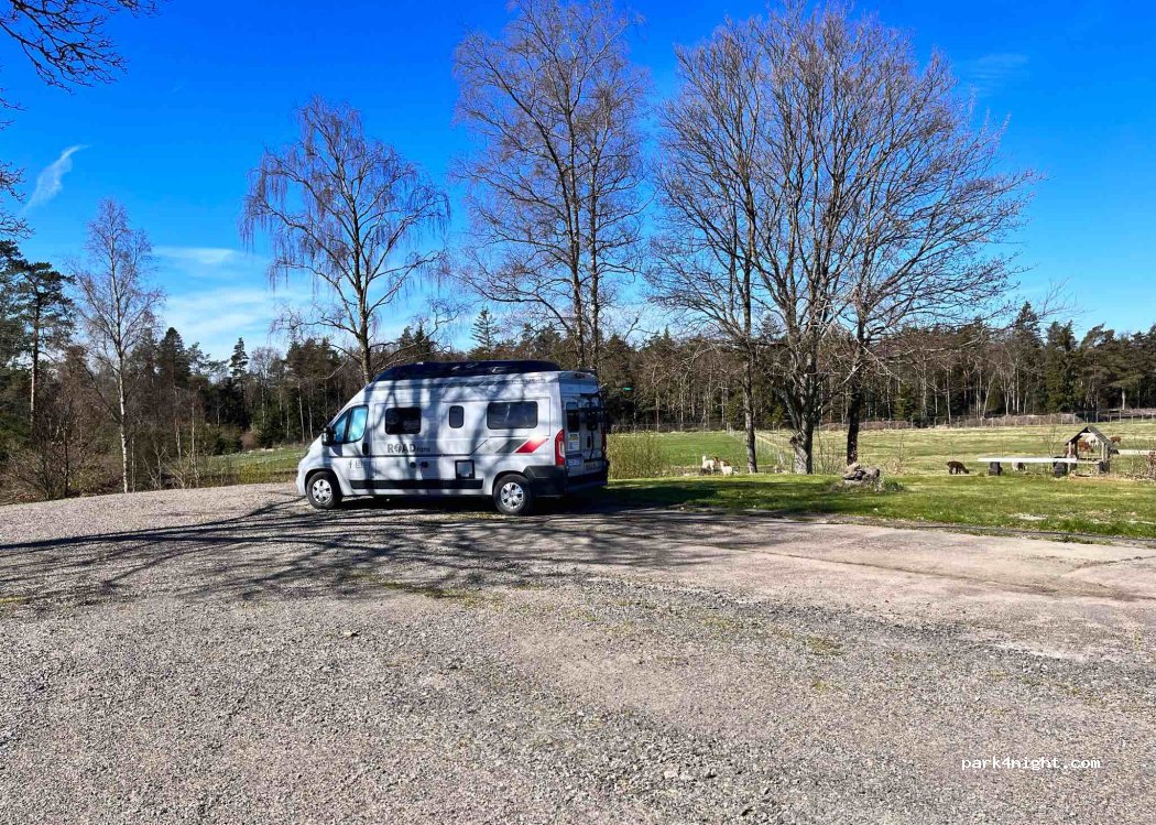 Alpaca farm in Kråkshult — foto 3