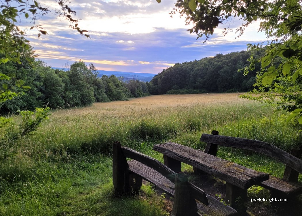 (34317) Habichtswald - L3298 — foto 4