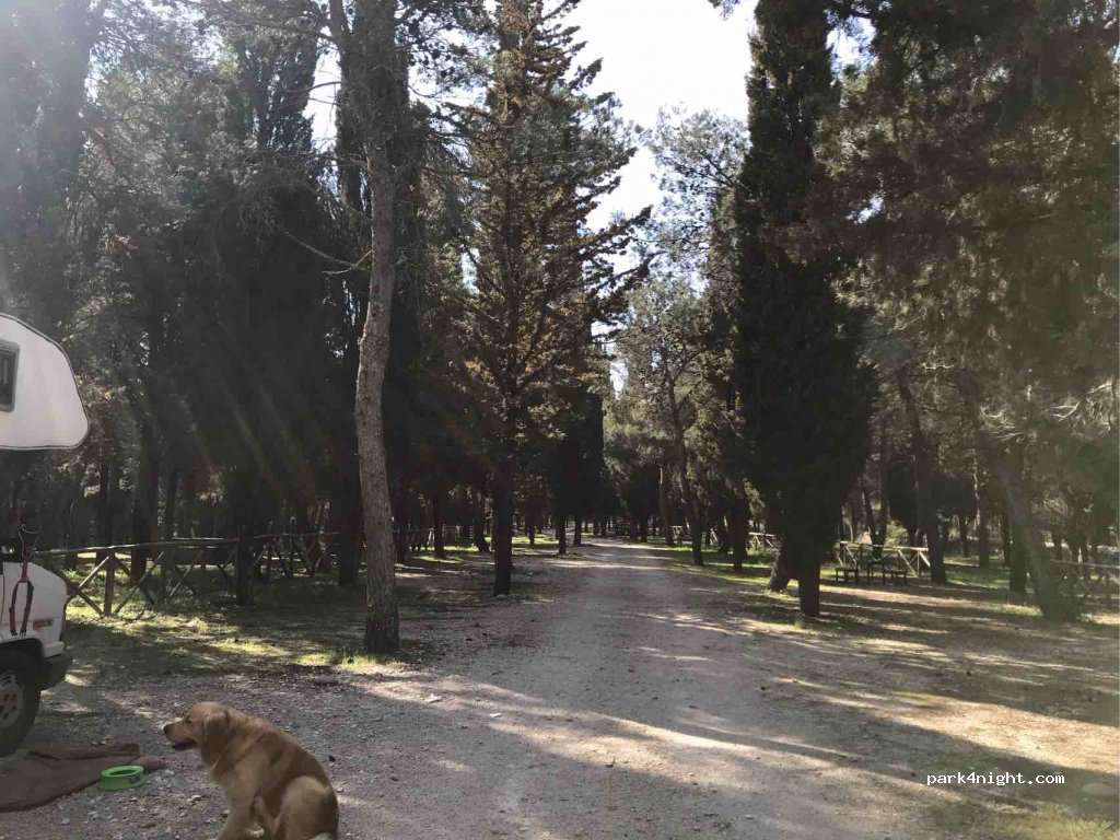 (70020) Cassano delle Murge - Unnamed Road — foto