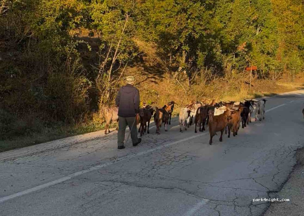 (440 07) Kentriko Zagori - Eparchiaki Odos Ano Pedinon-Vitsis — foto 3