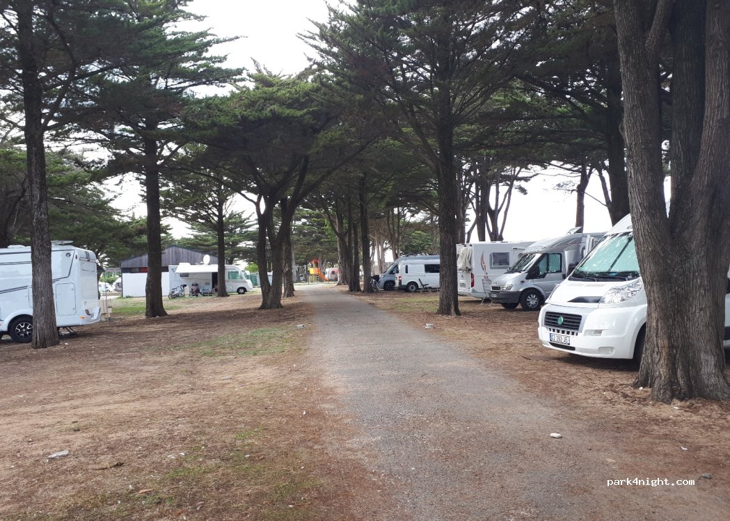 Camping municipal — foto 2