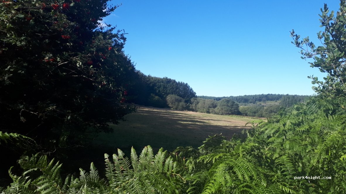 (34330) Fraisse-sur-Agout - D169 — foto 3