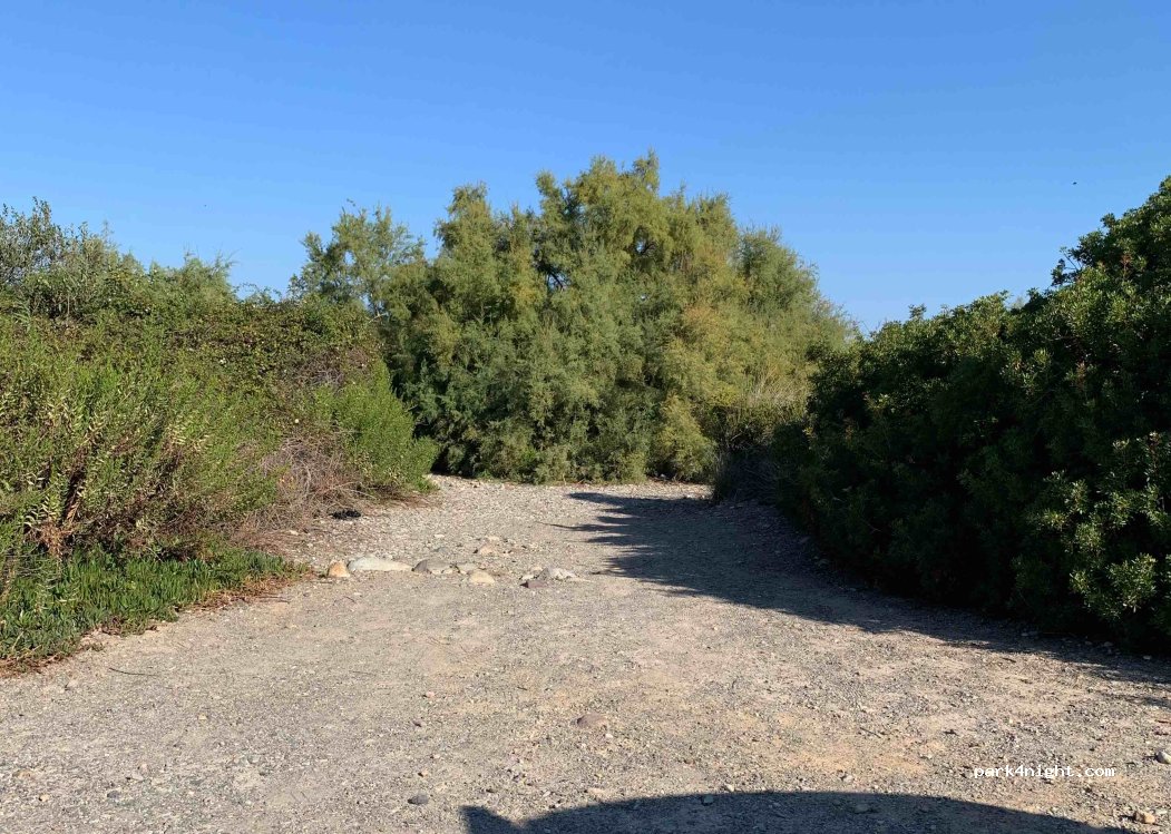 (20260) Calvi - Cibello — foto 3