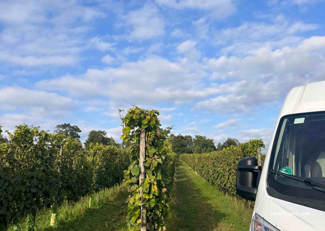 Domaine coustarret — foto 4