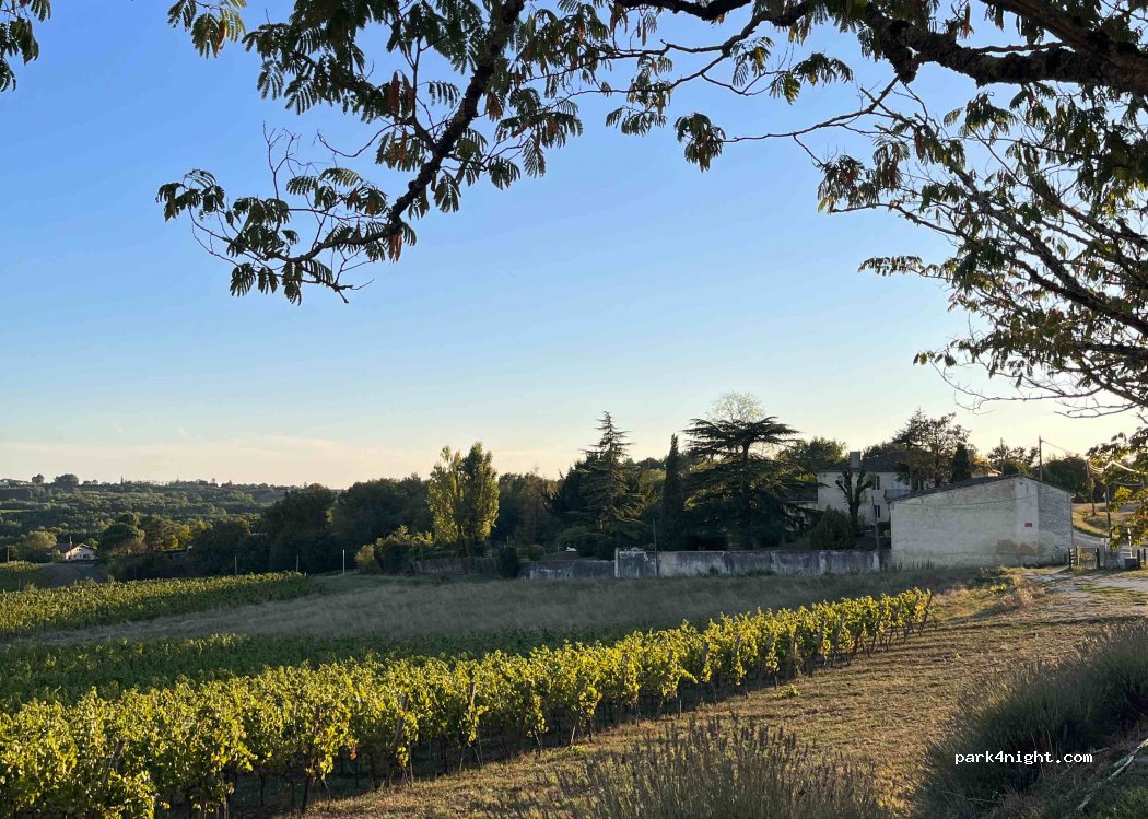 Château Peneau — foto 2