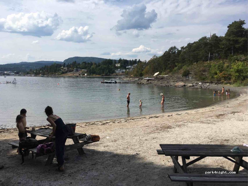 (1397) Nesøya - 113 Vestre vei — foto
