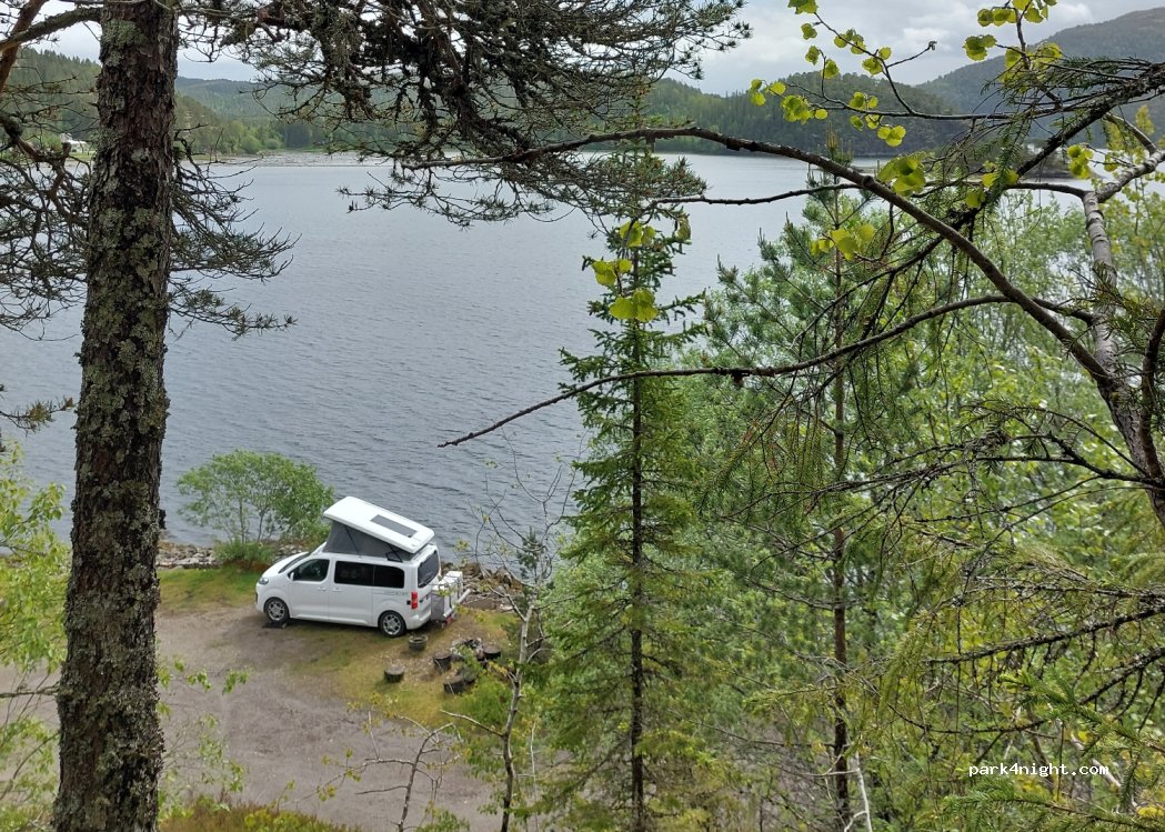(7819)  - 3 Primær Fylkesveg 767 — foto 2