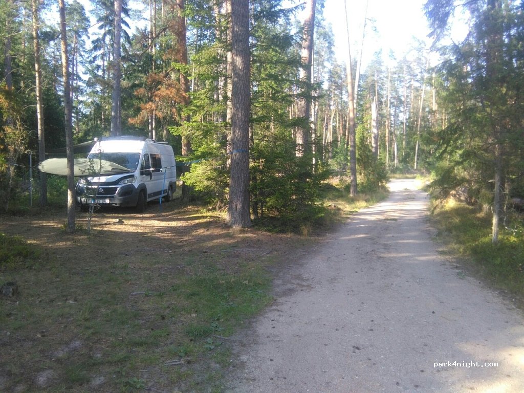 (68013) Laanemetsa - Laanemetsa-Taheva — foto 3