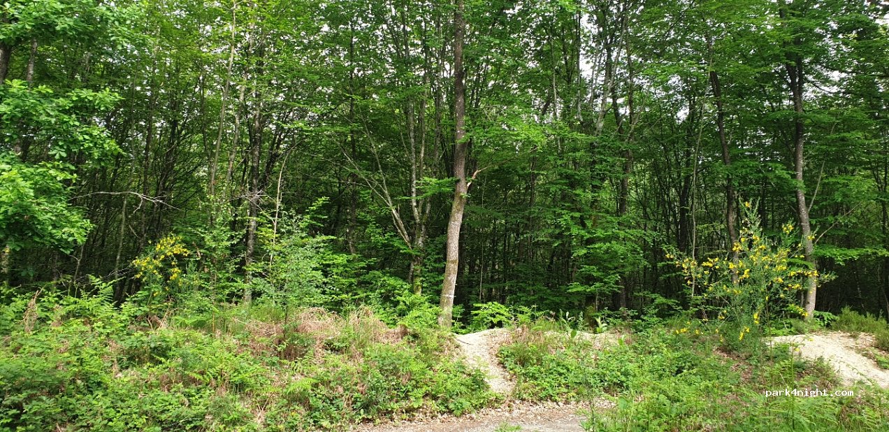 (35250) Betton - D97 — foto 3