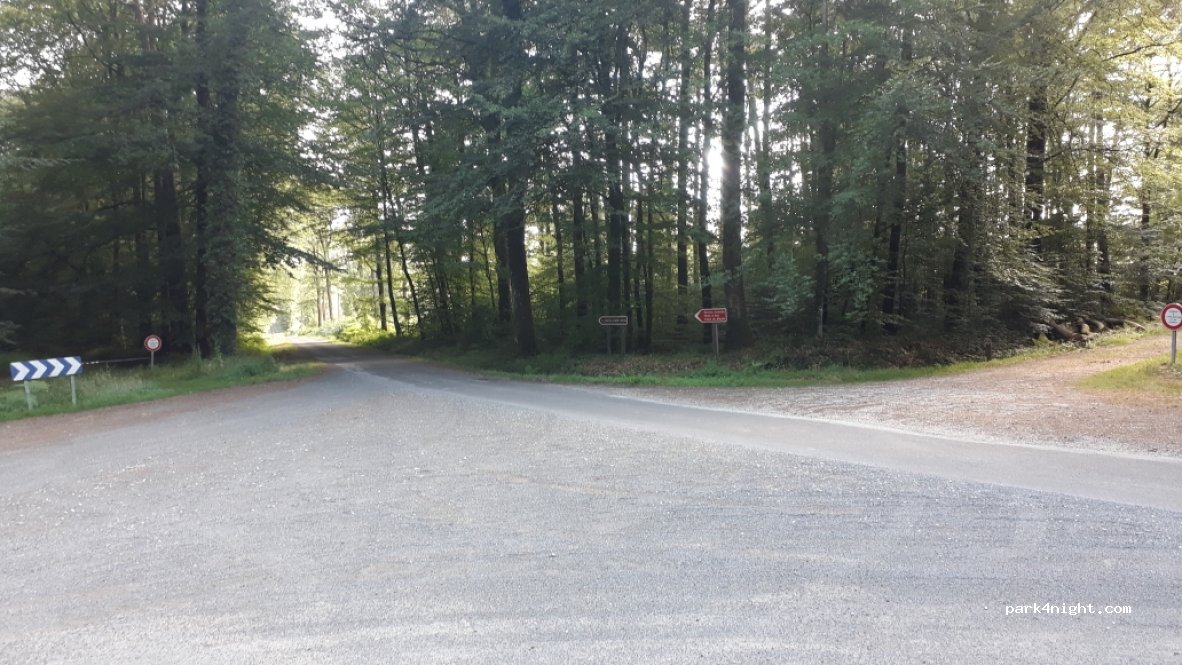 (61400) Saint-Mard-de-Réno - Unnamed Road — foto 2