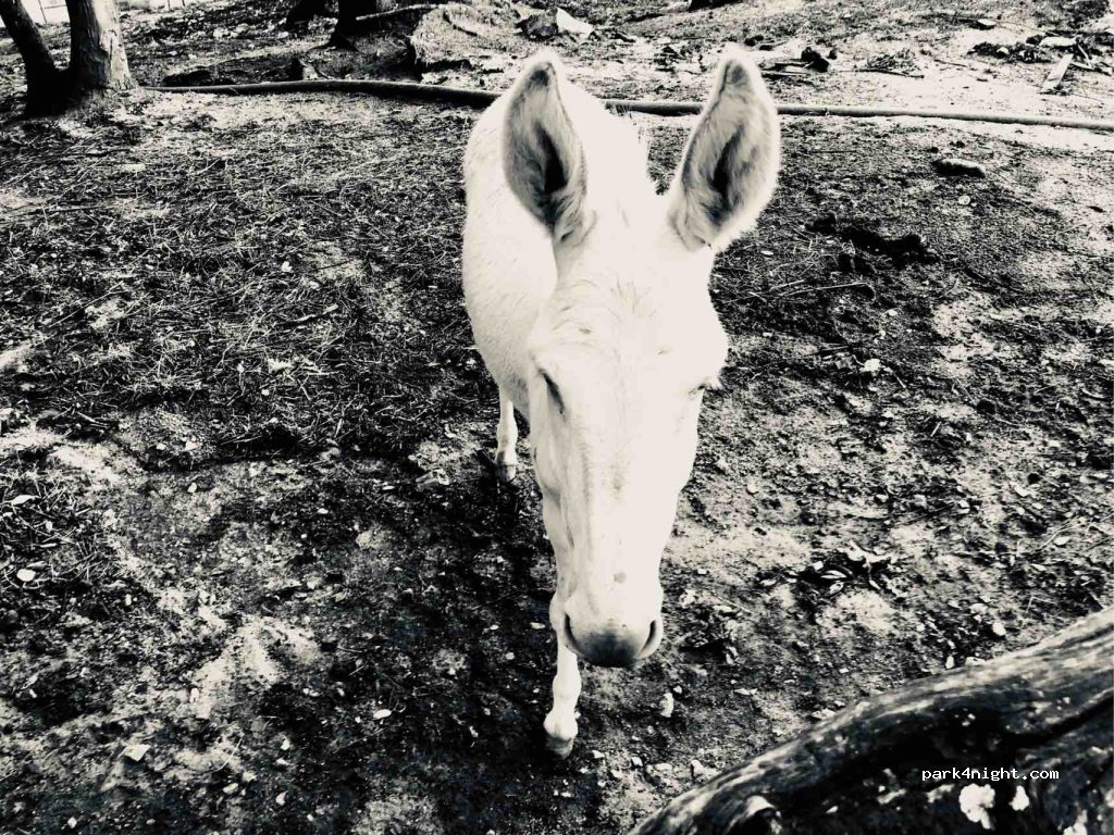 Agriturismo Il Muto di Gallura — foto