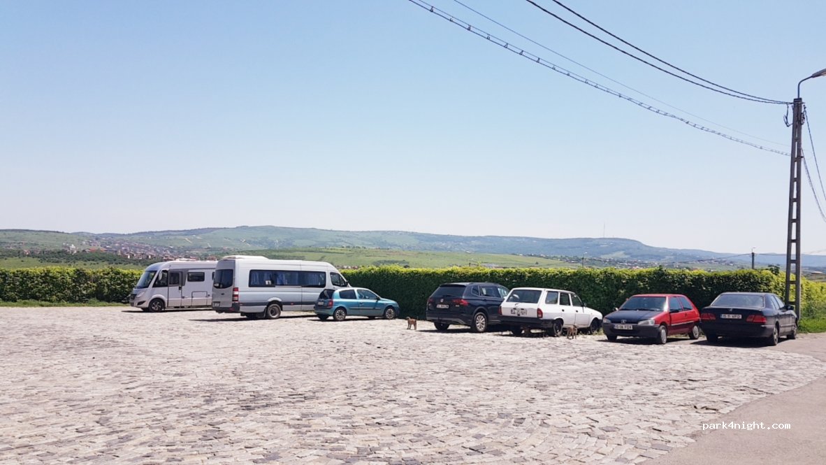 () Iași - 19 Strada Cetățuia — foto 2