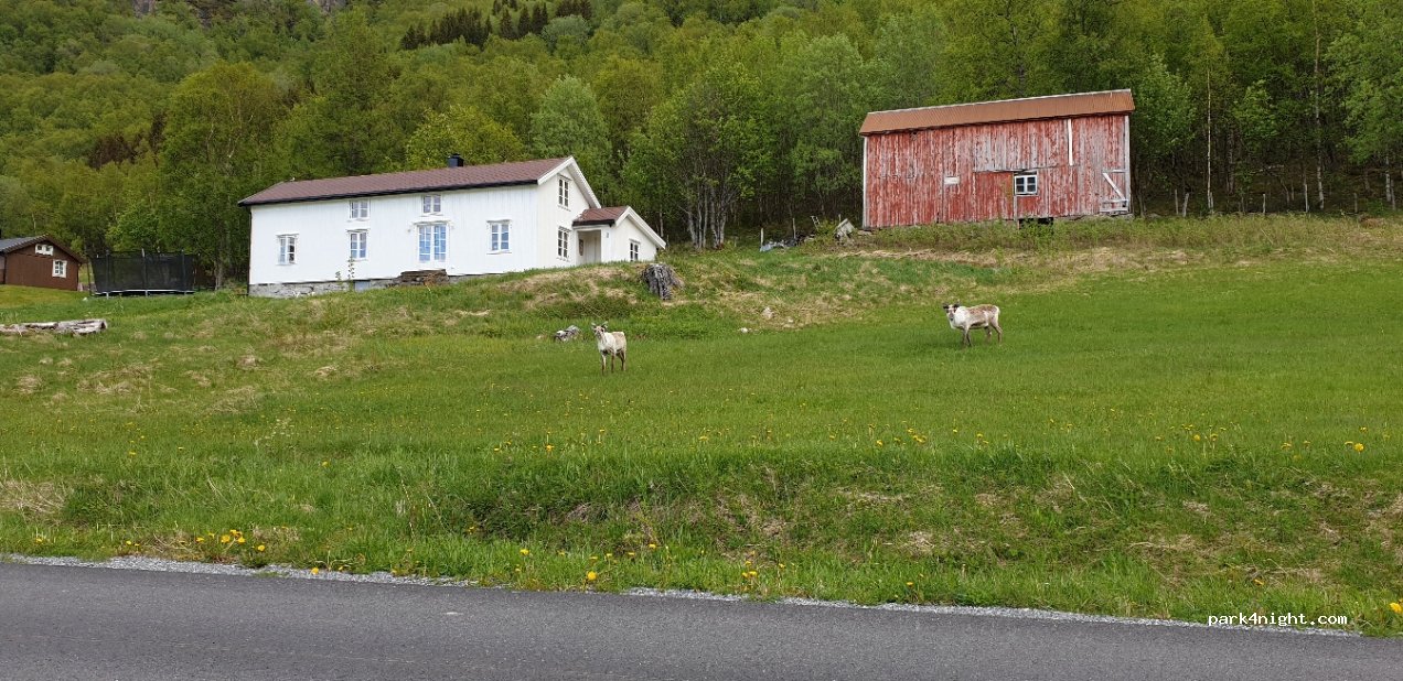 (8100) Misvær - 2 Primær Fylkesveg 812 — foto 2