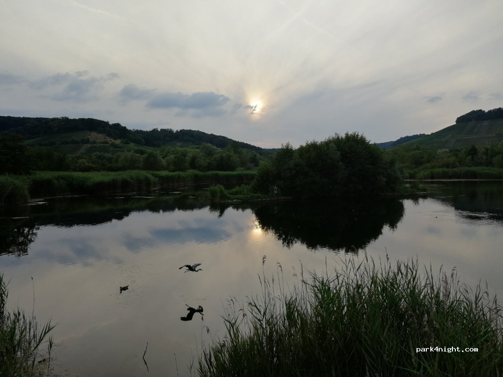 (5495) Wintrange - 3 Waistrooss — foto 3