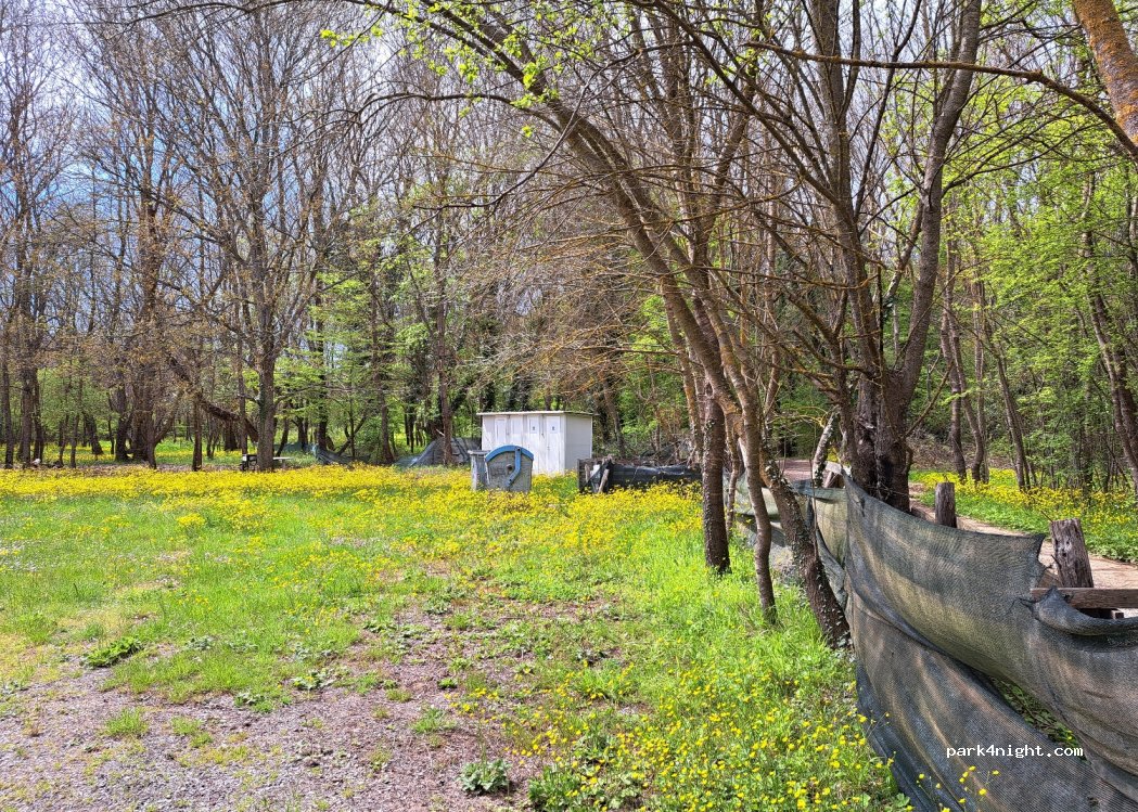 Silistar Campground — foto 5