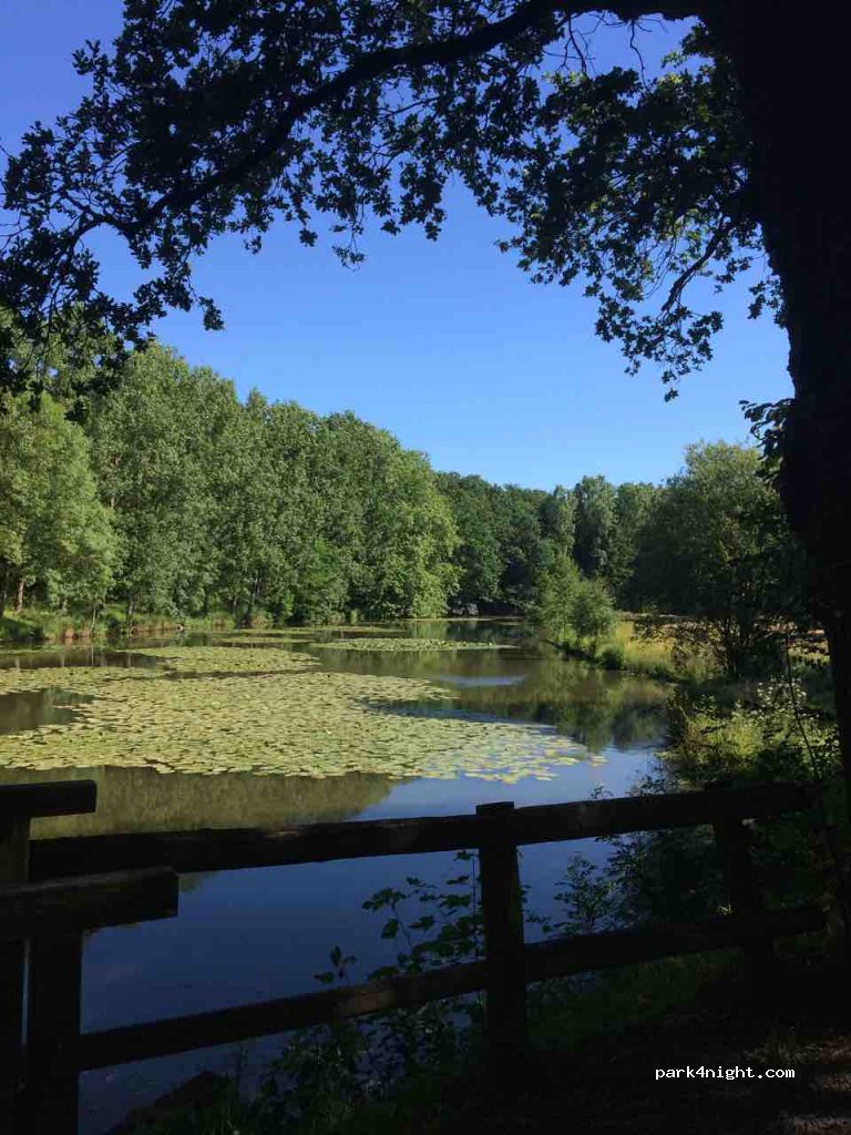 (44110) Saint-Aubin-des-Châteaux - 23 Rue de Châteaubriant — foto 2