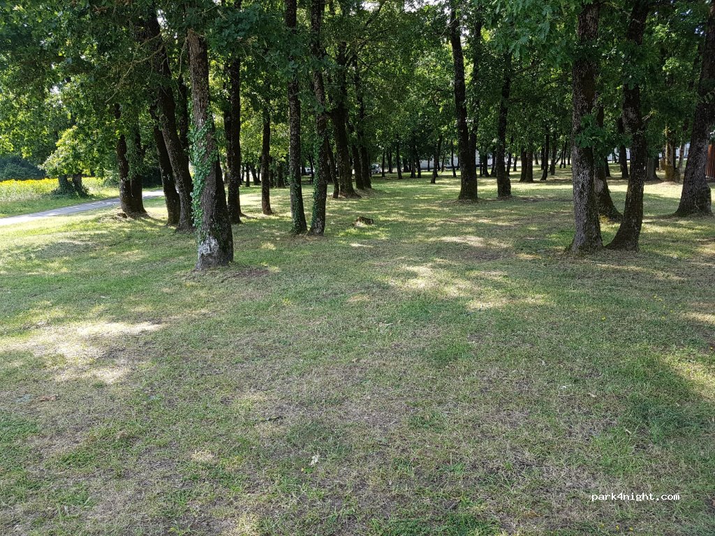 (17490) Beauvais-sur-Matha - 5 Petit Chemin du Bois — foto