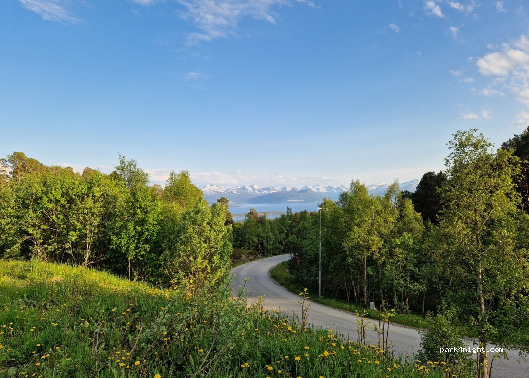 (6429) Molde - 3 Jensgurilia — foto 3