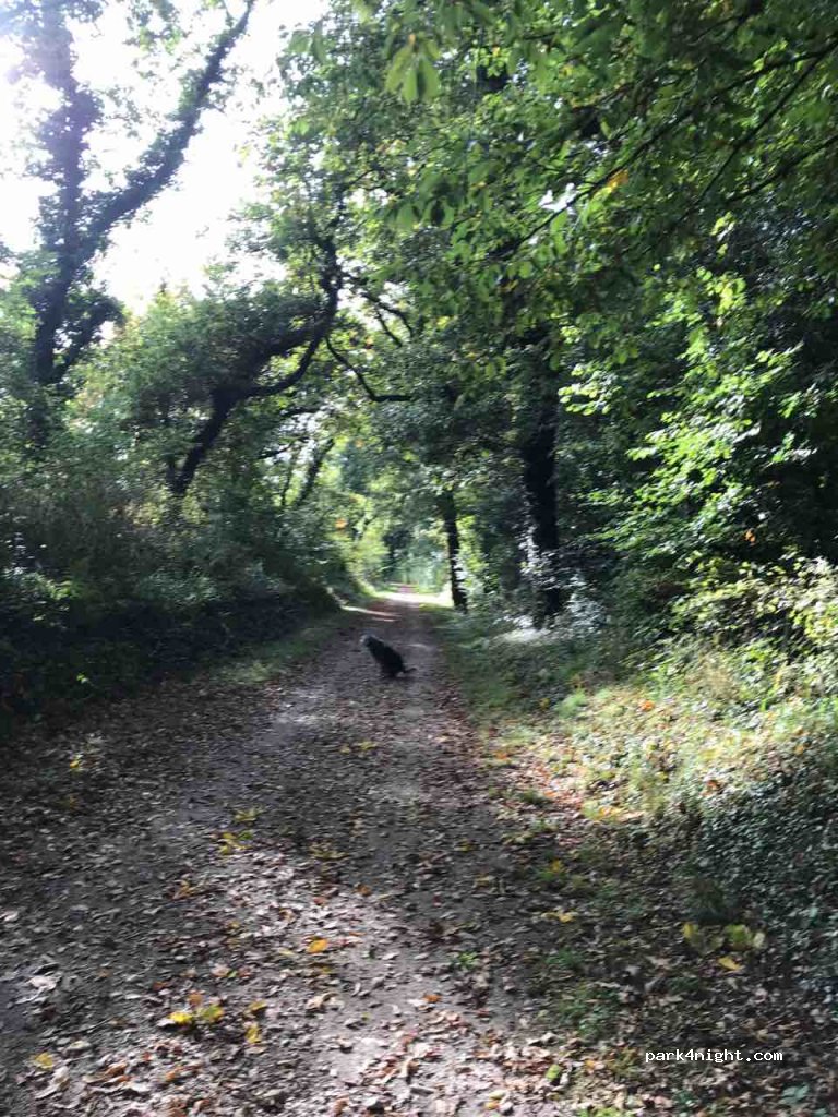 (PL30) Bodmin - Unnamed Road — foto 2