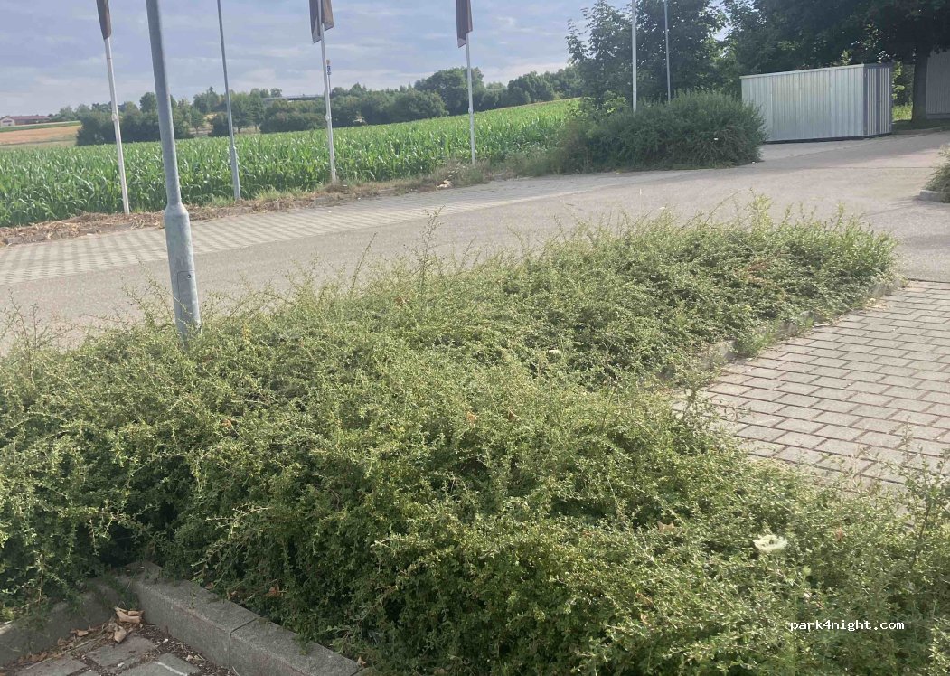 (89312) Günzburg - 3 Wilhelm-Maybach-Straße — foto