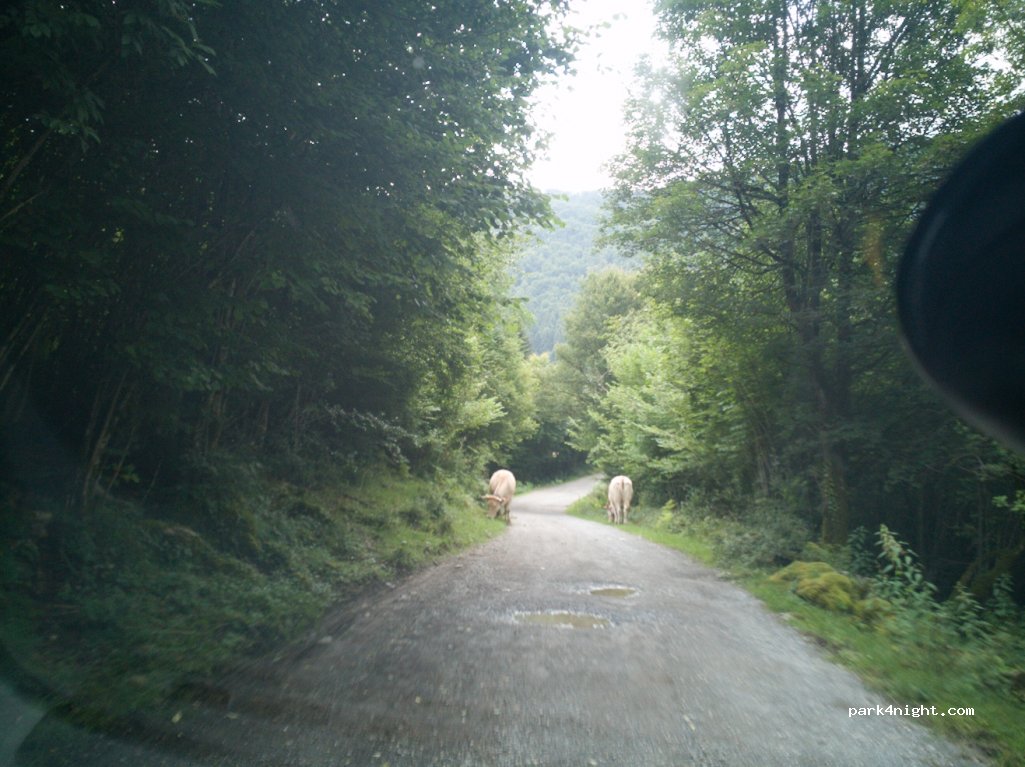 (65130) Esparros - Unnamed Road — foto