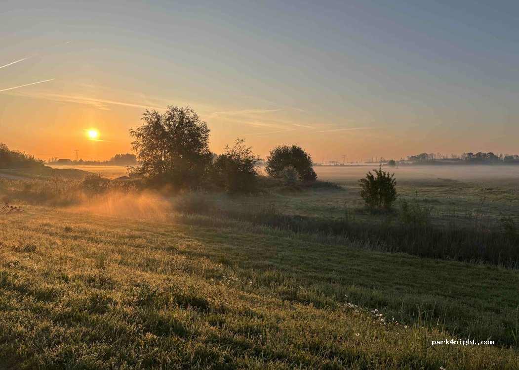 Mini-camping De Witboom — foto 5